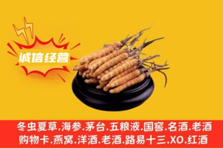 许昌襄城县回收冬虫夏草